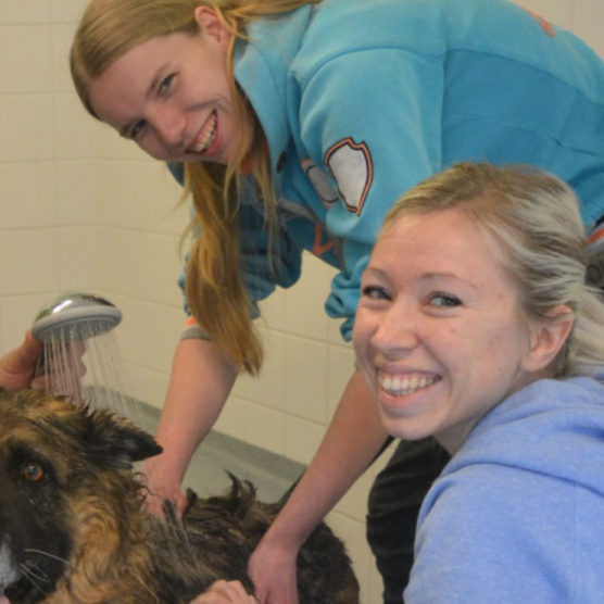 Schermafbeelding 2021-12-17 om 15.25.08